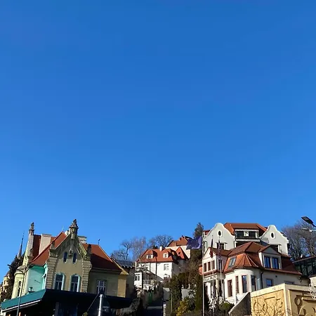 Sleep4-freep-mountainview-balcony-petfriendly Appartement *