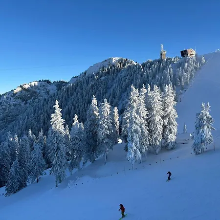 Apartamento Sleep4-freep-mountainview-balcony-petfriendly Braşov