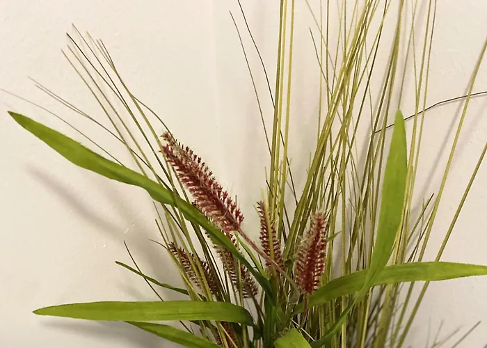 Sleep4-freep-mountainview-balcony-petfriendly