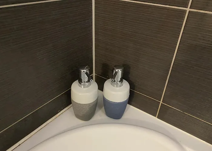 Sleep4-freep-mountainview-balcony-petfriendly * Brassó