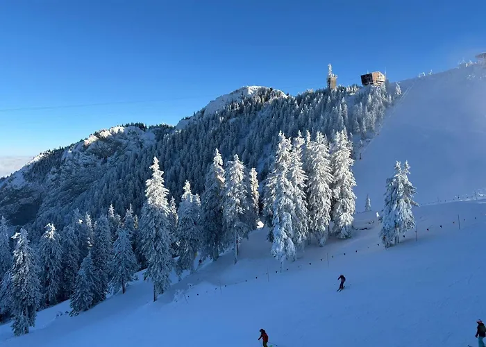 Апартаменты Sleep4-freep-mountainview-balcony-petfriendly Брашов